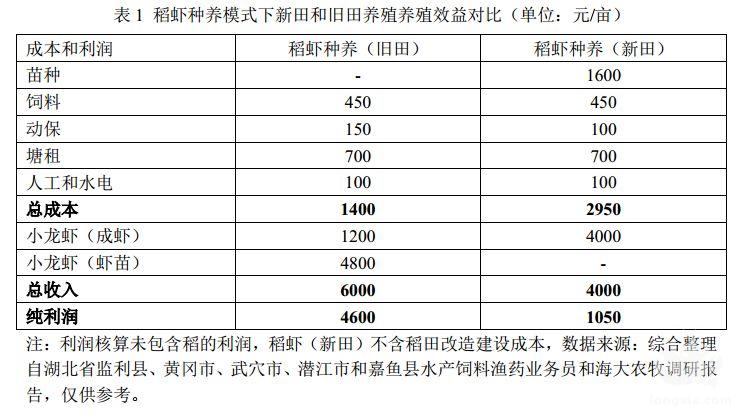 2019年最有潜力的养殖模式，非“稻虾”莫属了！