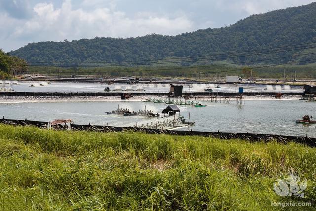 贵州贵安新区岩孔村扩大小龙虾养殖基地