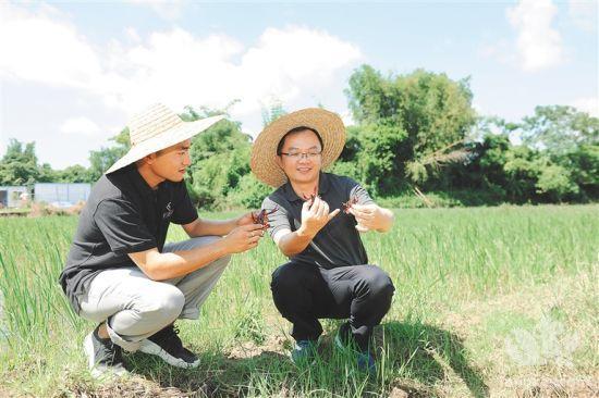 河南信阳潢川县举行农都农业生态小龙虾产业园项目签约仪式