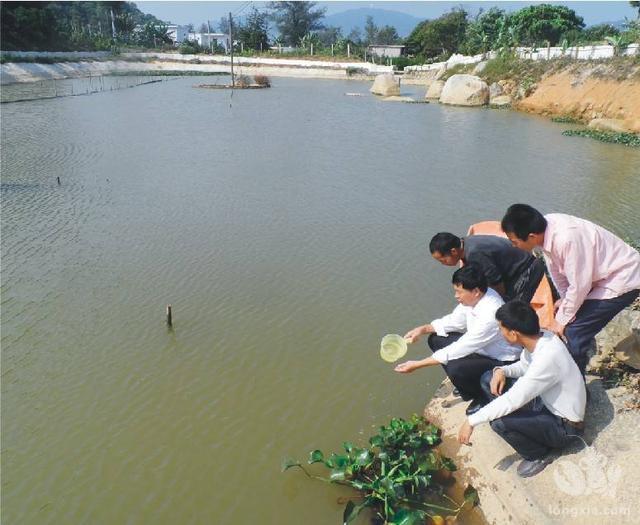 湖南常德市稻虾种养技术培训班西洞庭开班