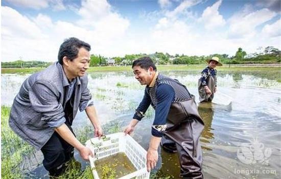 同大镇：多措并举为小龙虾养殖业“保驾护航”