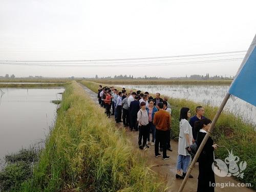 从小龙虾养殖户到批发商—记在脱贫路上奔跑的舒忠泽