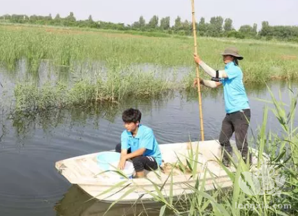 江苏南通如东陆卫兵龙虾养殖获得成功