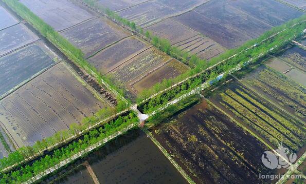 养殖面积66万亩 安徽六安成安徽最大小龙虾出口基地