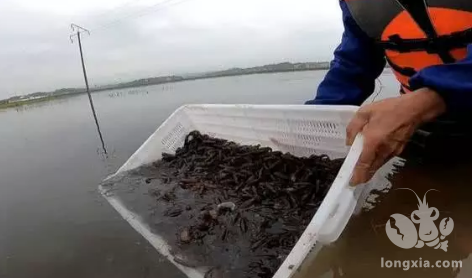 今年价格一路跌，7月有没有希望上涨一点呢？