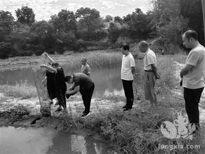 华州区拓宽致富路 小龙虾变身村民“致富虾”