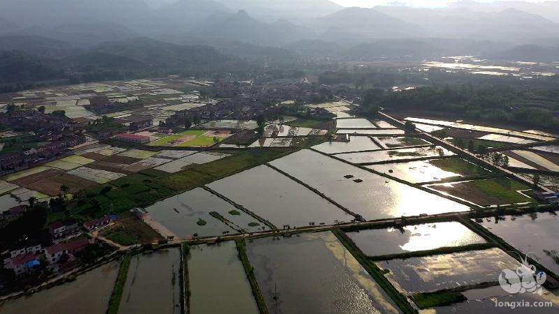 远安：“小龙虾”激起产业扶贫一池活水