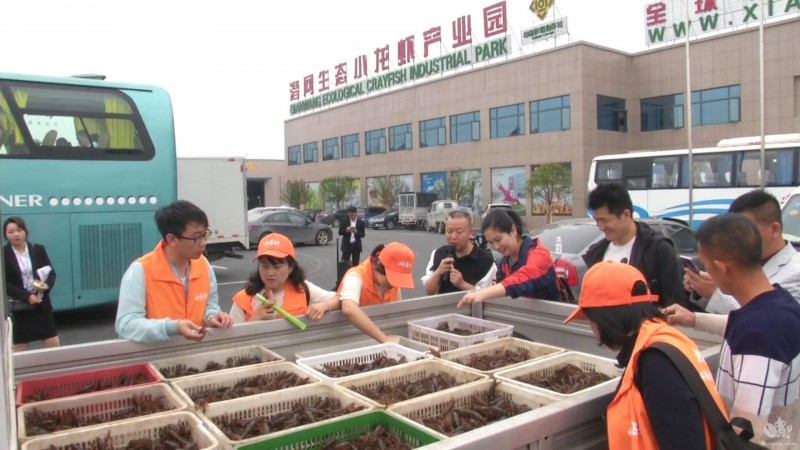 山西快递为潜江小龙虾外销开辟“绿色通道”