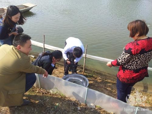 四人使用药物捕捞小龙虾 获刑