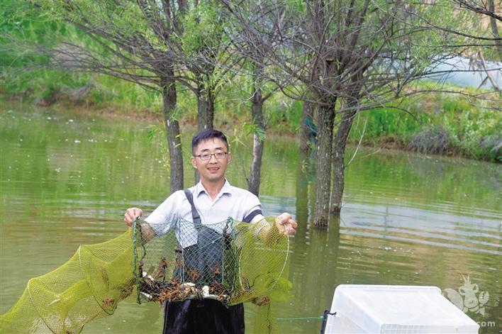 小龙虾“游”到北纬37度，这个陕西人养出来的小龙虾供不应求