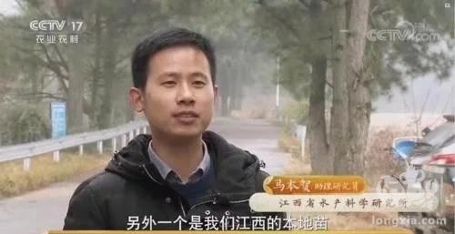 省特种水产体系推广的黄鳝生态养殖模式亮相央视《致富经》