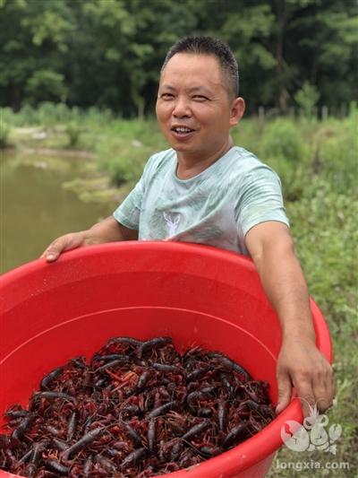 秦林：“稻虾鱼共养”助力乡村振兴