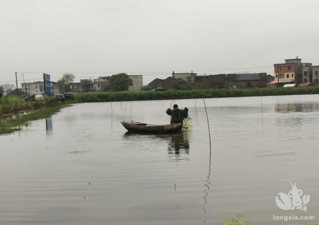 江陵县：“水上春耕”正当时 千亩虾田投虾苗