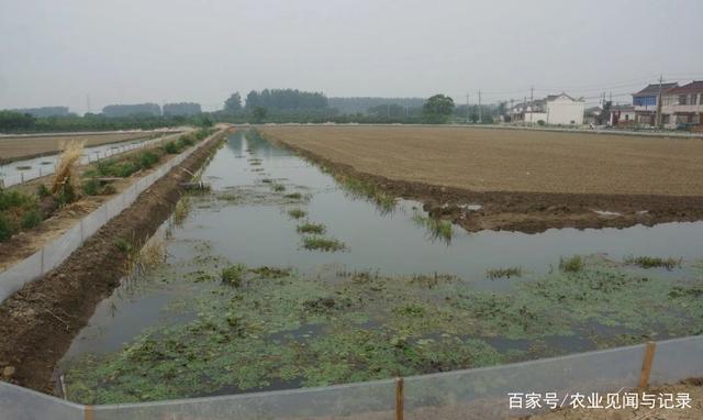 恶劣极端天气情况下小龙虾养殖管理技术要点