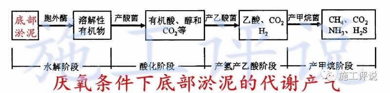 季高温季节池塘下风口为什么会看到一些小泡泡，有什么危害？