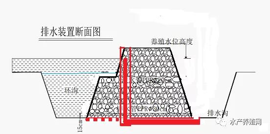 浅析小龙虾产业中的重大问题之小龙虾养殖的“稻田结构改造技术”