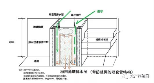 浅析小龙虾产业中的重大问题之小龙虾养殖的“稻田结构改造技术”