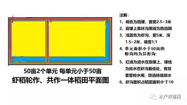 浅析小龙虾产业中的重大问题之小龙虾养殖的“稻田结构改造技术”