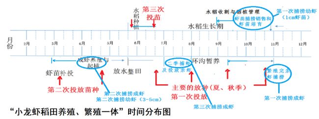 “虾稻轮作”、“虾稻共作”　&“虾稻轮作、共作一体”有什么区别?