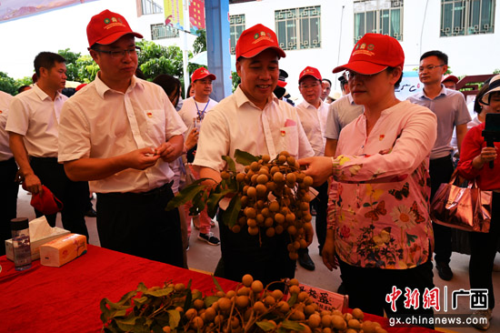 中国（平南）富硒石硖龙眼节及小龙虾品鉴会开幕