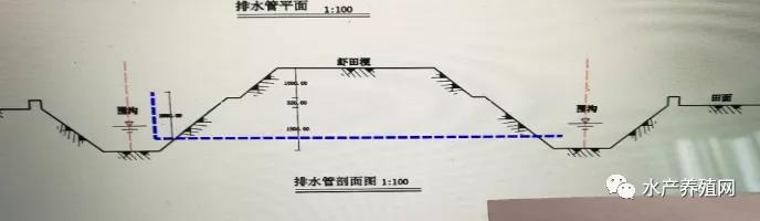 浅析小龙虾产业中的重大问题之小龙虾养殖的“稻田结构改造技术”