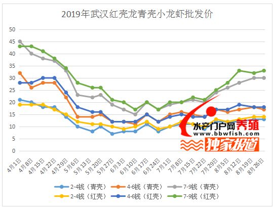 今年夏季小龙虾暴跌，养殖户叫苦连天，来年你敢再战吗?