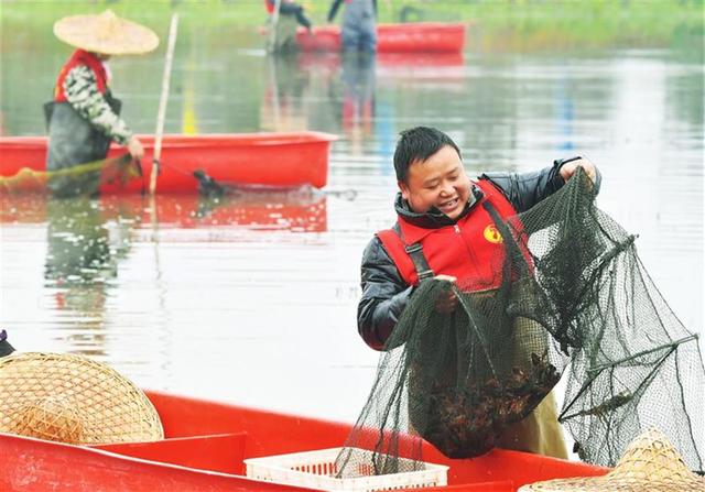 触屏养虾，触网卖虾——“小龙虾之乡”掌控全国小龙虾价格指数