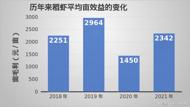 2022年小龙虾该怎么养？模式选对了收益会翻倍