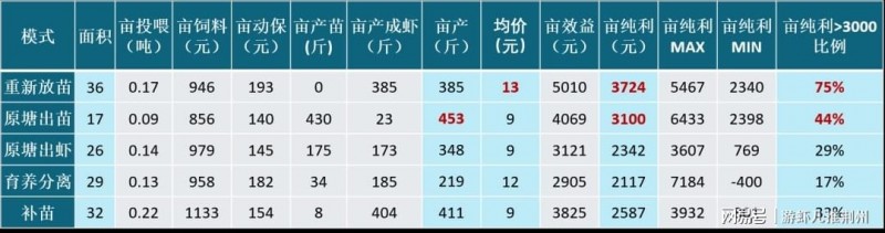 2022年小龙虾该怎么养？模式选对了收益会翻倍