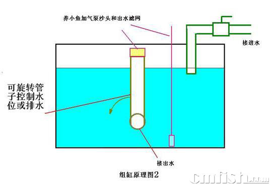 小丑繁殖缸的配置