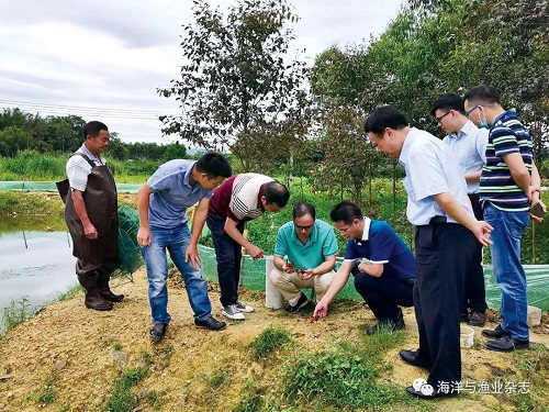 王建新：且把青春对渔歌 但为清新鱼虾肥