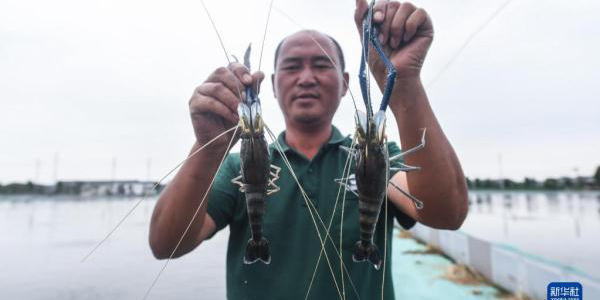 浙江湖州：推进特色生态水产养殖 助力乡村共同富裕