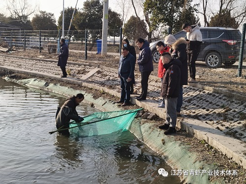 江苏省青虾体系养殖团队和扬中基地到浦口示范点调研与指导