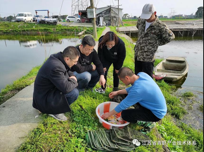 江苏省青虾体系苏州基地举办青虾高效养殖专题培训与观摩会