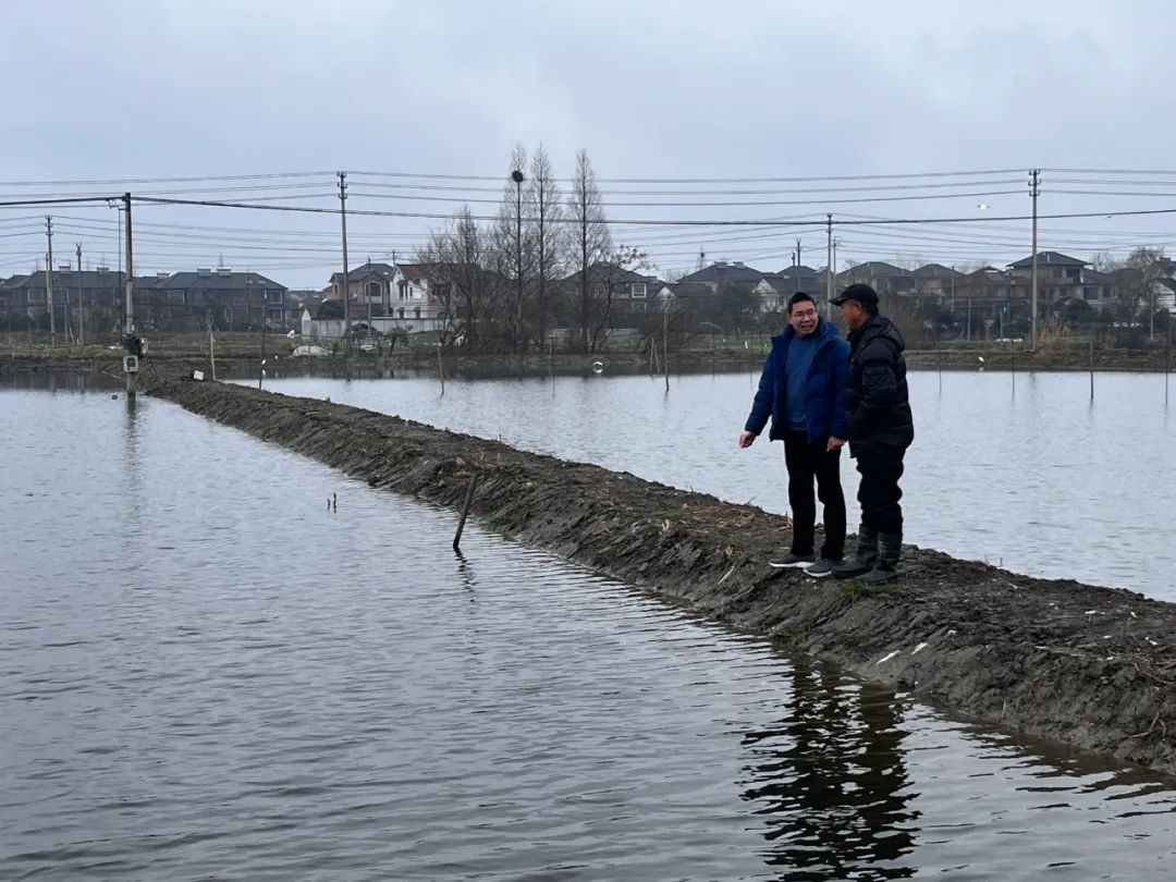 “水精灵”青虾托起助残共富梦！