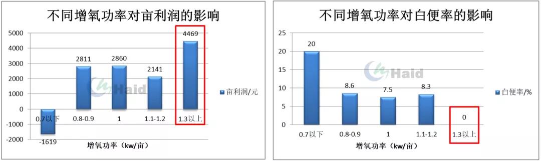 时隔3年扭亏为盈，外塘白虾养殖今年打了个“翻身仗”