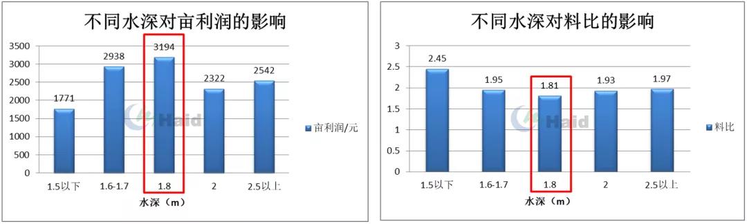 时隔3年扭亏为盈，外塘白虾养殖今年打了个“翻身仗”