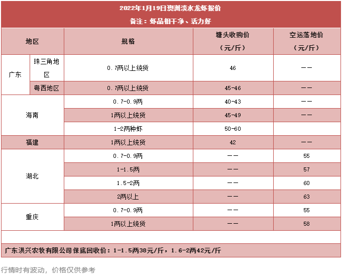 暴涨8元/斤！这条虾缺货，春节后将迎来价格高峰？