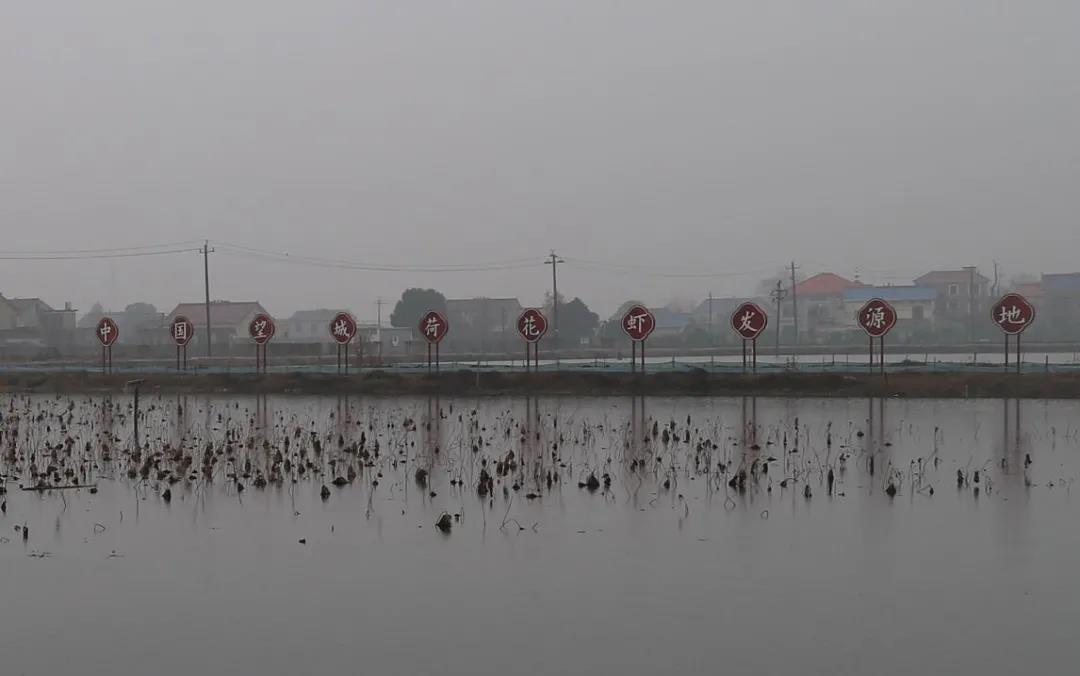 埃及品种小龙虾引进中国，文和友颠覆传统模式搞起了工厂化繁养小龙虾，年屯养100万