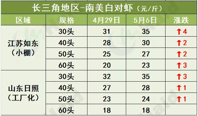 虾价行情 | 30头35元/斤，如东节后普遍缺虾！5月6日全国最新塘头价