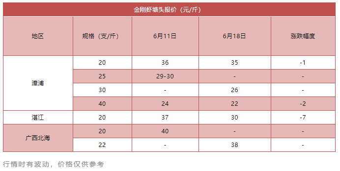 虾价“跌跌”不休？金刚虾暴跌7元/斤！白虾价格触底反弹？