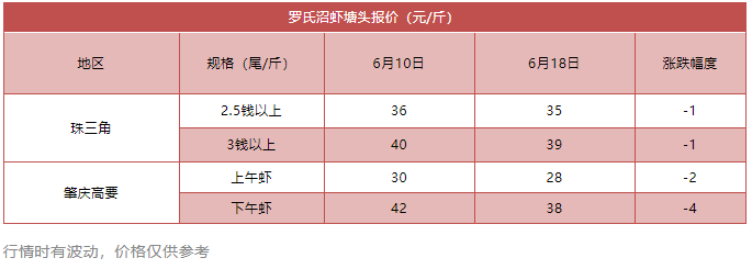 虾价“跌跌”不休？金刚虾暴跌7元/斤！白虾价格触底反弹？