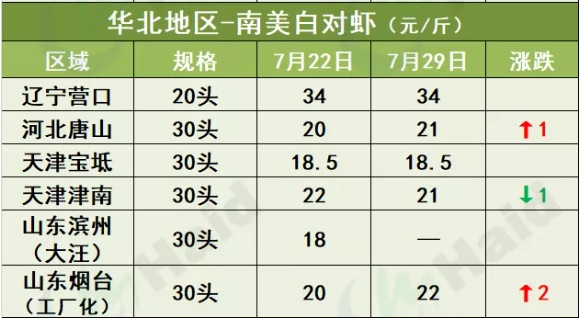 虾价行情 | 涨势渐猛！存塘减少，华南大部分地区集体上涨！