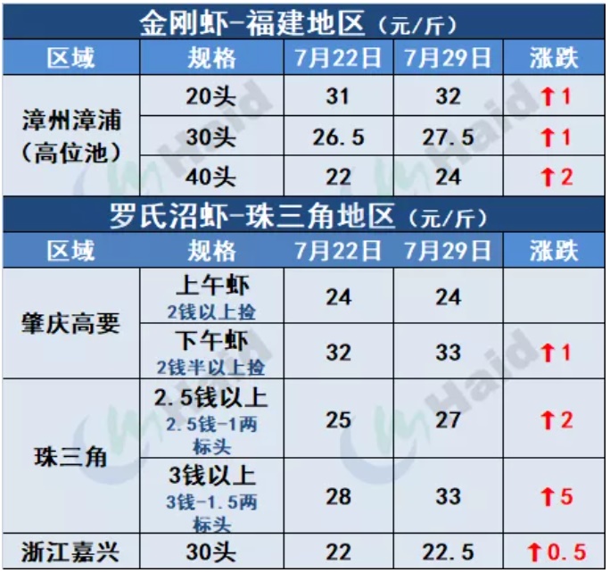 虾价行情 | 涨势渐猛！存塘减少，华南大部分地区集体上涨！