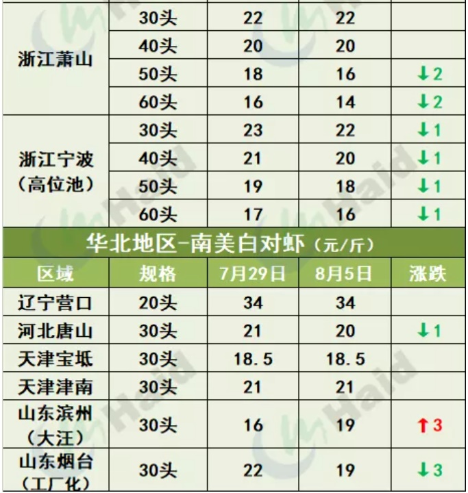 虾价行情 | 市场缺虾！华南多地价格继续上涨！8月5日全国最新塘头价