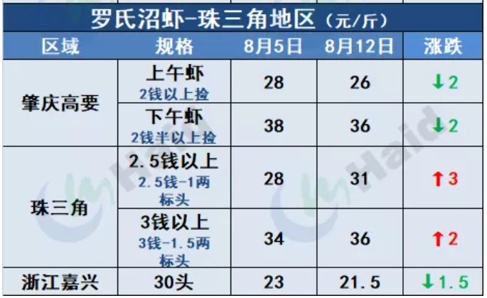 虾价行情 | 市场缺大虾！多地虾价仍在上涨！8月12日全国最新塘头价