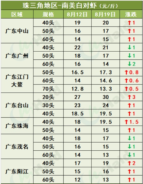 虾价行情 | 消费逐步恢复，大虾上涨最明显！8月19日全国最新塘头价