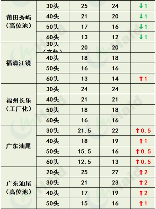 虾价行情 | 消费逐步恢复，大虾上涨最明显！8月19日全国最新塘头价