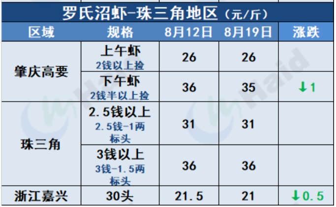 虾价行情 | 消费逐步恢复，大虾上涨最明显！8月19日全国最新塘头价