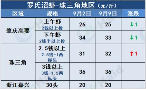 虾价行情 | 大虾涨幅最大！部分地区已经缺虾！中秋价格你看好么？